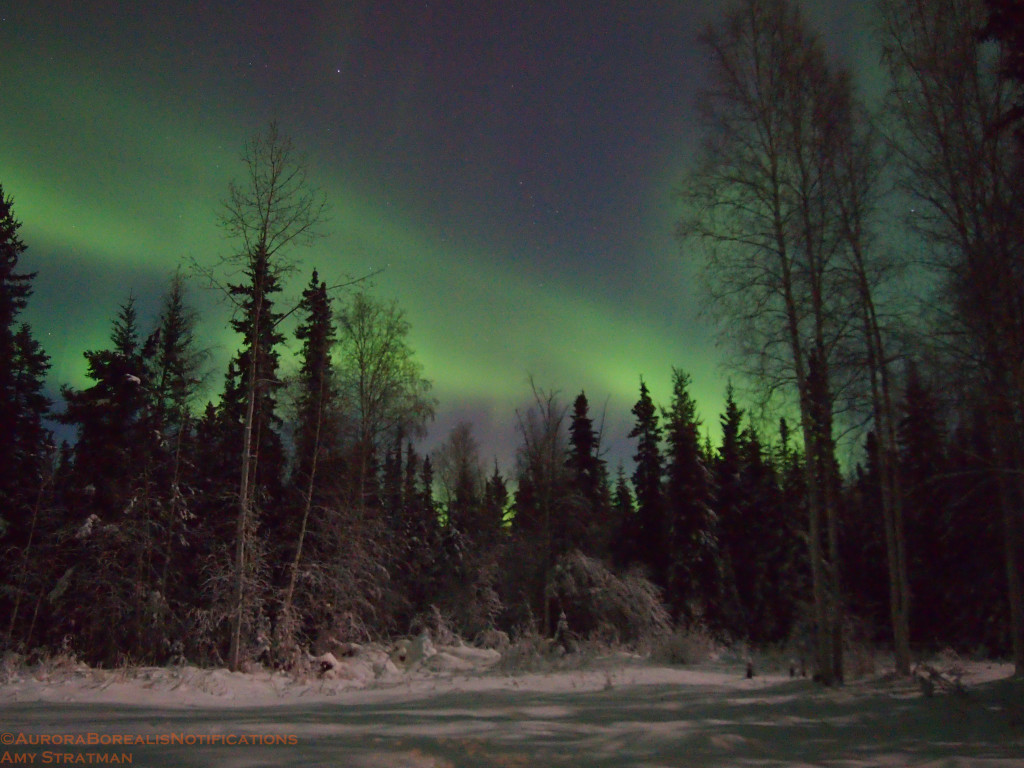 Auroras in the yard North Pole