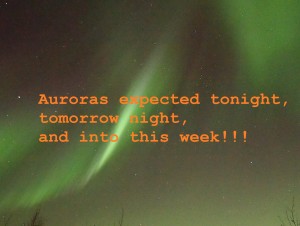 auroras expected