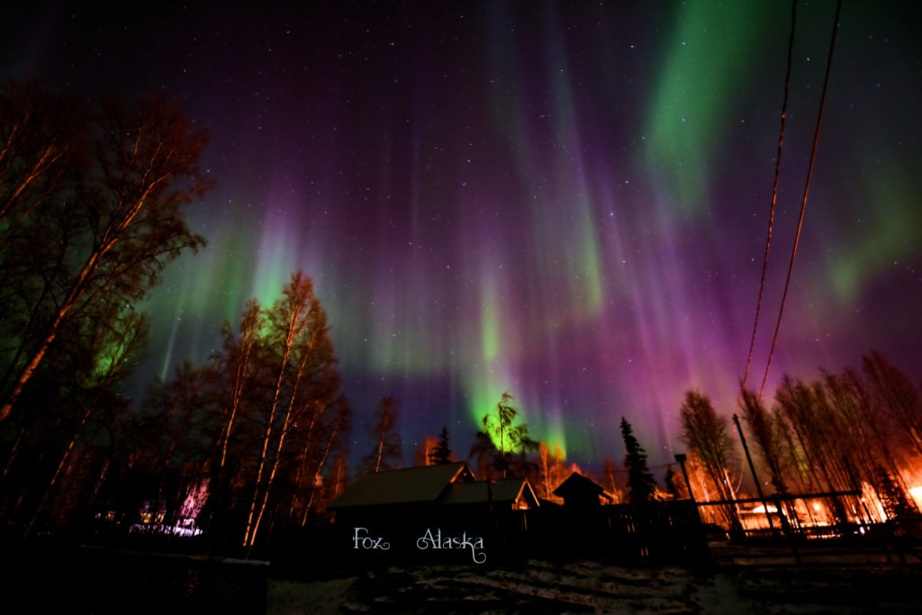 Auroras burst over Fox, Alaska on Oct 25, 2016. Fox is located just north of Fairbanks.