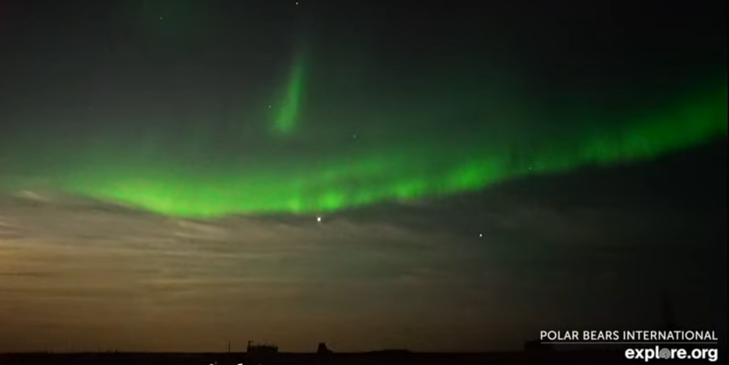 aurora cam screenshot from Churchill