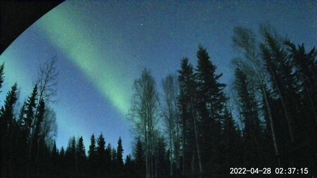 Wyze security cam caught this aurora at sunrise, in late April. August aurora will look similar. 